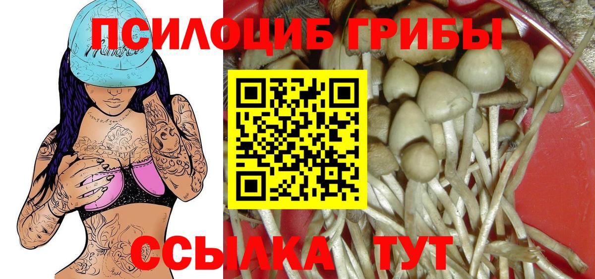Прохладный  Псилоцибиновые грибы ЛСД  Вход с VPN 